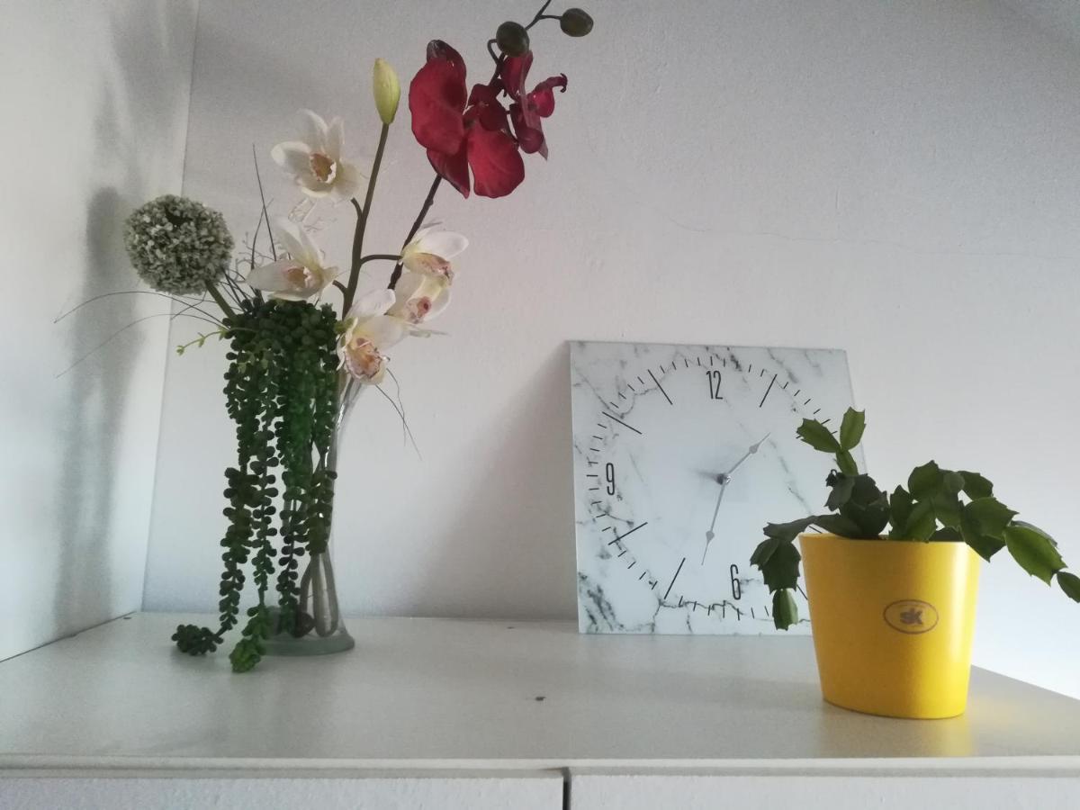 Apartmán Patricija